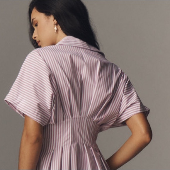 Anthropologie The Tobie Button-Front Pleated Shirt Dress - Picture 10 of 14